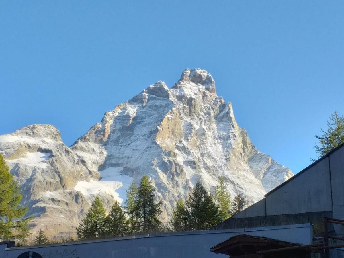 Soldanella Cervinia Apartment Vda Vacanze In Vetta Cir 0253 Breuil-Cervinia Exterior photo